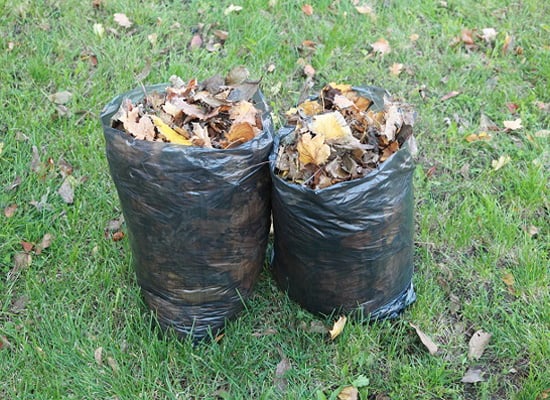 Tree and Bush Debris removal
